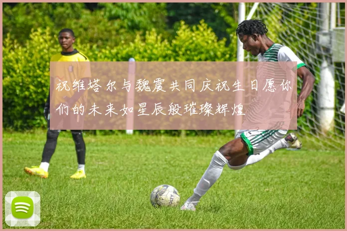 祝维塔尔与魏震共同庆祝生日愿你们的未来如星辰般璀璨辉煌