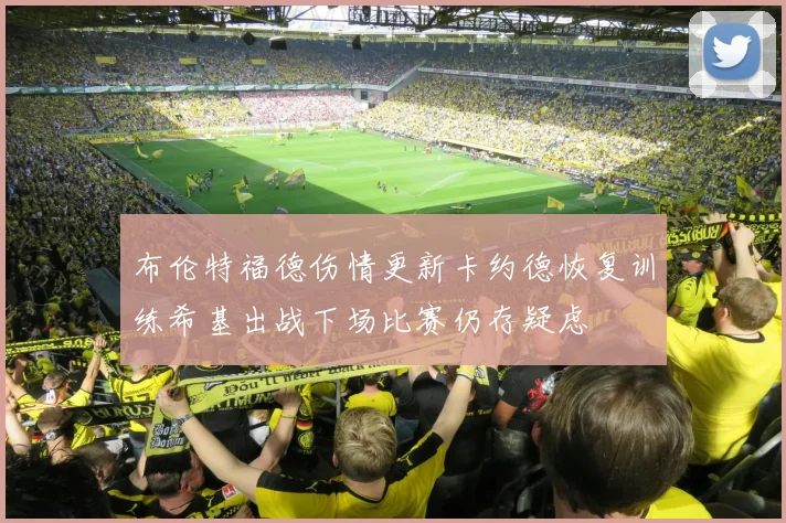 布伦特福德伤情更新卡约德恢复训练希基出战下场比赛仍存疑虑